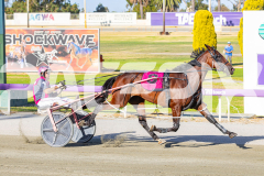 RACE 2 - Diamond Bay