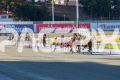 2026_PACEPIX_GP24022026_RACE2_DiamondBay_WIN_WEB-1