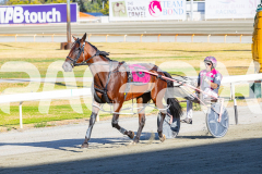 2026_PACEPIX_GP24022026_RACE2_DiamondBay_WIN_WEB-10