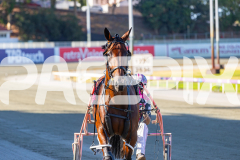 2026_PACEPIX_GP24022026_RACE2_DiamondBay_WIN_WEB-11