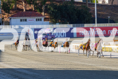 2026_PACEPIX_GP24022026_RACE2_DiamondBay_WIN_WEB-4