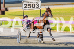 2026_PACEPIX_GP24022026_RACE2_DiamondBay_WIN_WEB-5