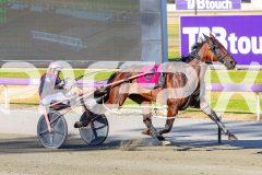 2026_PACEPIX_GP24022026_RACE2_DiamondBay_WIN_WEB-7