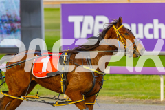 2025_PACEPIX_GP09092025_Race2_EkaraNavajo_WIN_WEB-10