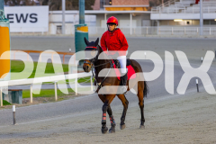 2025_PACEPIX_GP09092025_Race2_EkaraNavajo_WIN_WEB-11