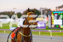 2025_PACEPIX_GP09092025_Race2_EkaraNavajo_WIN_WEB-16
