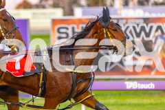 2025_PACEPIX_GP09092025_Race2_EkaraNavajo_WIN_WEB-2
