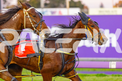 2025_PACEPIX_GP09092025_Race2_EkaraNavajo_WIN_WEB-4