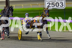 2026_PACEPIX_GP19062026_Race2_EliteFleet_WIN_WEB-2