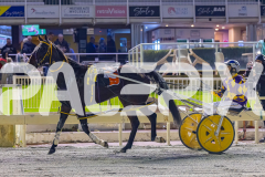 2026_PACEPIX_GP19062026_Race2_EliteFleet_WIN_WEB-20
