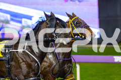 2026_PACEPIX_GP19062026_Race2_EliteFleet_WIN_WEB-3