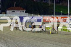 2026_PACEPIX_GP19062026_Race2_EliteFleet_WIN_WEB-7