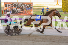 2026_GP13022026_RACE2_Elwaddell_WIN_WEB-10