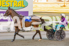 2026_GP13022026_RACE2_Elwaddell_WIN_WEB-13