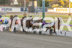 2026_GP13022026_RACE2_Elwaddell_WIN_WEB-3