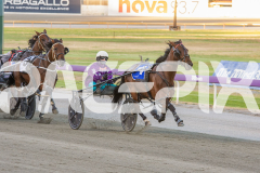 2026_GP13022026_RACE2_Elwaddell_WIN_WEB-6