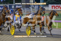 RACE 2 - Fakenit