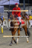 2026_PACEPIX_GP04092026_Race2_FakenIt_WIN_WEB-19