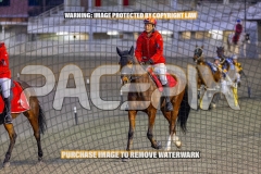 2026_PACEPIX_GP04092026_Race2_FakenIt_WIN_WEB-20
