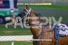 2026_PACEPIX_GP04092026_Race2_FakenIt_WIN_WEB-26