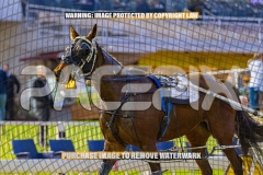 2026_PACEPIX_GP04092026_Race2_FakenIt_WIN_WEB-30