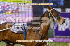 2026_PACEPIX_GP04092026_Race2_FakenIt_WIN_WEB-4