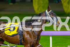 2026_PACEPIX_GP22052026_RACE2_FakingIt_WIN_WEB-12
