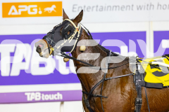 2026_PACEPIX_GP22052026_RACE2_FakingIt_WIN_WEB-14
