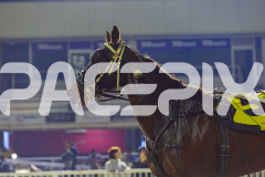 2026_PACEPIX_GP22052026_RACE2_FakingIt_WIN_WEB-18