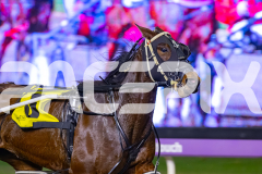 2026_PACEPIX_GP22052026_RACE2_FakingIt_WIN_WEB-2
