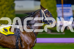 2026_PACEPIX_GP22052026_RACE2_FakingIt_WIN_WEB-3