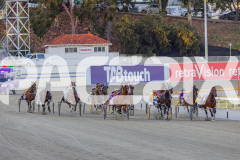 2025_PACEPIX_GP29112025_Race2_FatLouie_WIN_WEB-1