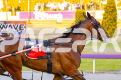 2025_PACEPIX_GP29112025_Race2_FatLouie_WIN_WEB-10