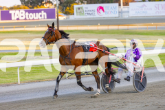 2025_PACEPIX_GP29112025_Race2_FatLouie_WIN_WEB-11