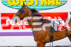 2025_PACEPIX_GP29112025_Race2_FatLouie_WIN_WEB-12