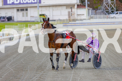 2025_PACEPIX_GP29112025_Race2_FatLouie_WIN_WEB-13