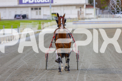 2025_PACEPIX_GP29112025_Race2_FatLouie_WIN_WEB-14