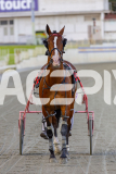 2025_PACEPIX_GP29112025_Race2_FatLouie_WIN_WEB-16