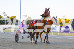 2025_PACEPIX_GP29112025_Race2_FatLouie_WIN_WEB-18
