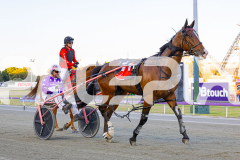 2025_PACEPIX_GP29112025_Race2_FatLouie_WIN_WEB-19