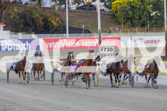 2025_PACEPIX_GP29112025_Race2_FatLouie_WIN_WEB-2