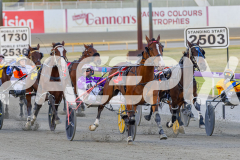 2025_PACEPIX_GP29112025_Race2_FatLouie_WIN_WEB-3