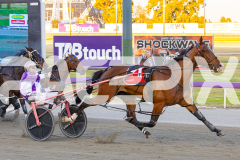 2025_PACEPIX_GP29112025_Race2_FatLouie_WIN_WEB-6