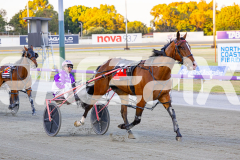 2025_PACEPIX_GP29112025_Race2_FatLouie_WIN_WEB-8
