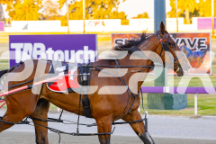2025_PACEPIX_GP29112025_Race2_FatLouie_WIN_WEB-9