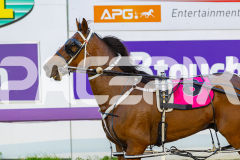 2026_PACEPIX_GP07042026_RACE2_FromTigerland_WIN_WEB-11