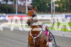 2026_PACEPIX_GP07042026_RACE2_FromTigerland_WIN_WEB-12