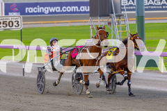 2026_PACEPIX_GP07042026_RACE2_FromTigerland_WIN_WEB-3