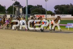 Heez-Good-As-Gold_15-08-2025_WIN_Gloucester-Park_2__01