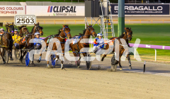 Heez-Good-As-Gold_15-08-2025_WIN_Gloucester-Park_2__03